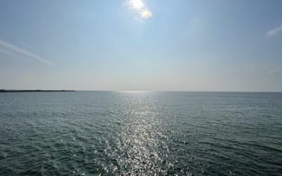 Vårvärmen är här!