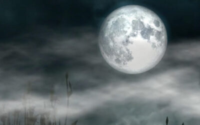 Det är roligt med video!